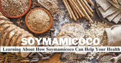 Soymamicoco