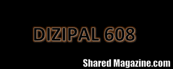 Dizipal 608