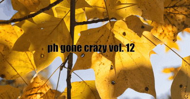 PH Gone Crazy Vol. 12