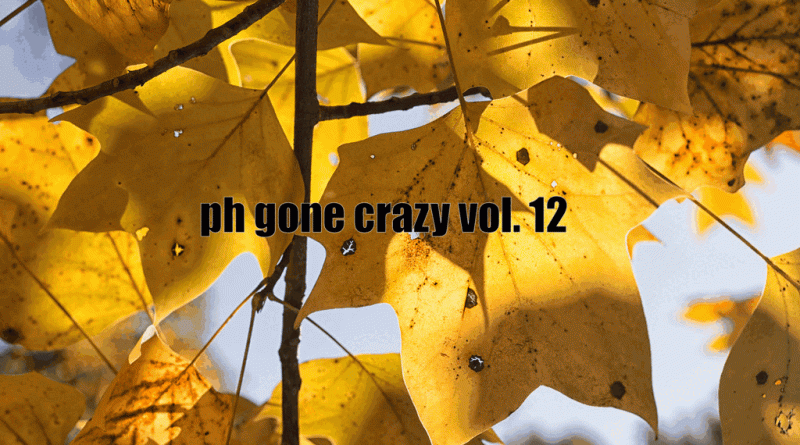 PH Gone Crazy Vol. 12