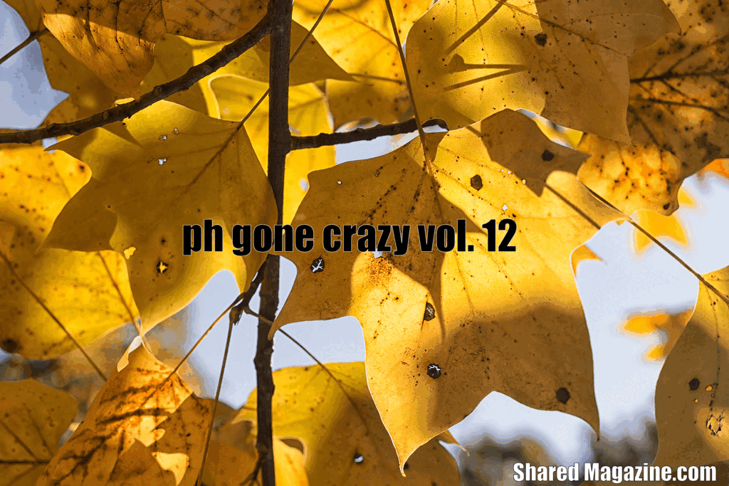  PH Gone Crazy Vol. 12