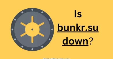 bunkr-su down