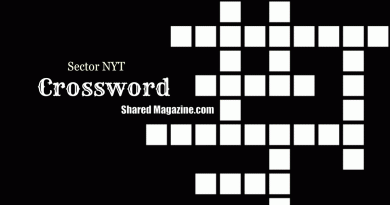 Sector NYT Crossword puzzles